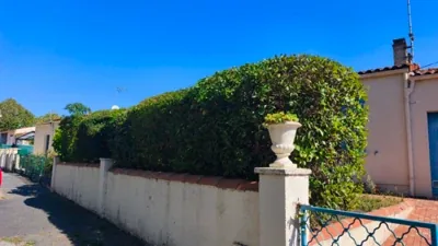 Taille de haie dans un jardin