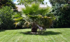 Entretien de jardin
