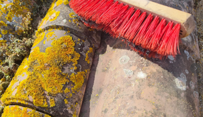 Nettoyage de toiture professionnel à Rochefort - démoussage, nettoyage mousse et lichen